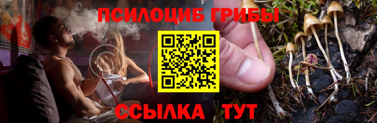 Биробиджан  где продают   Вход с VPN  Псилоцибиновые грибы ЛСД  Псилоцибиновые грибы прущие грибы 