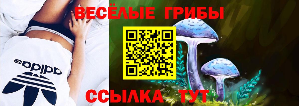 Галлюциногенные грибы Magic Shrooms Биробиджан